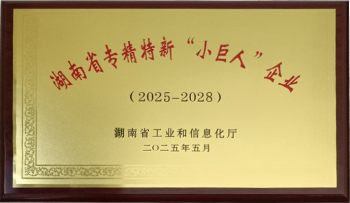 28湖南省小巨人企業 2025-2028.jpg